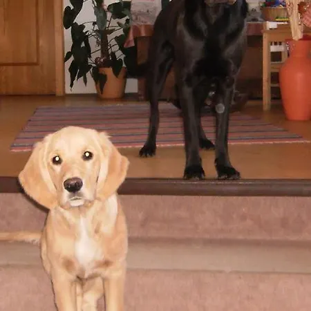 Pensionat Eberts Sonneneck *